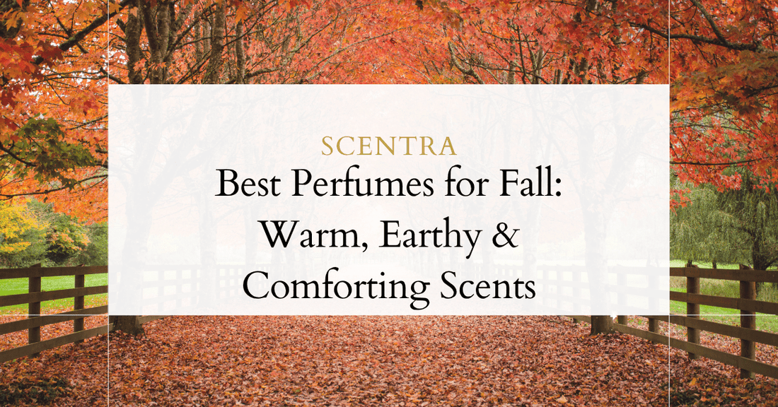 Best Perfumes for Fall: Warm, Earthy & Comforting Scents