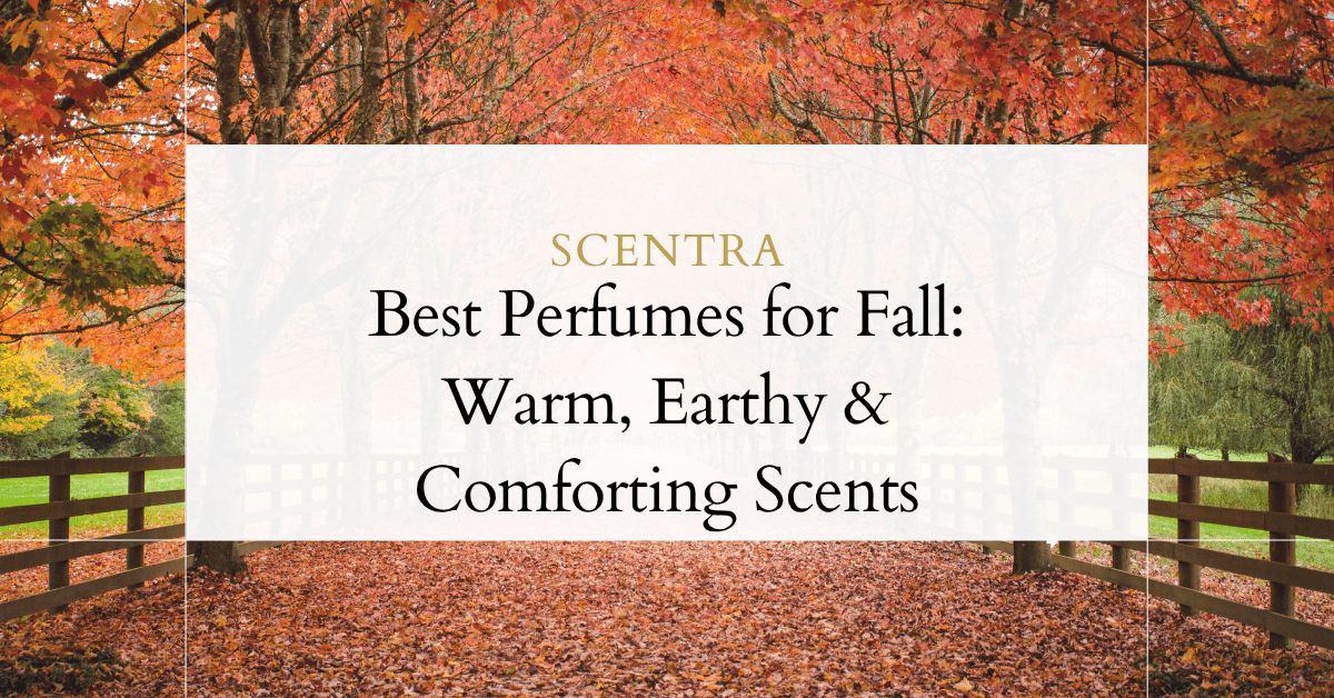 Best Perfumes for Fall: Warm, Earthy & Comforting Scents