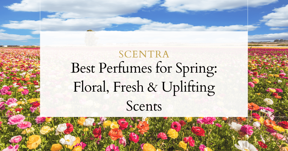 Best Perfumes for Spring: Floral, Fresh & Uplifting Scents