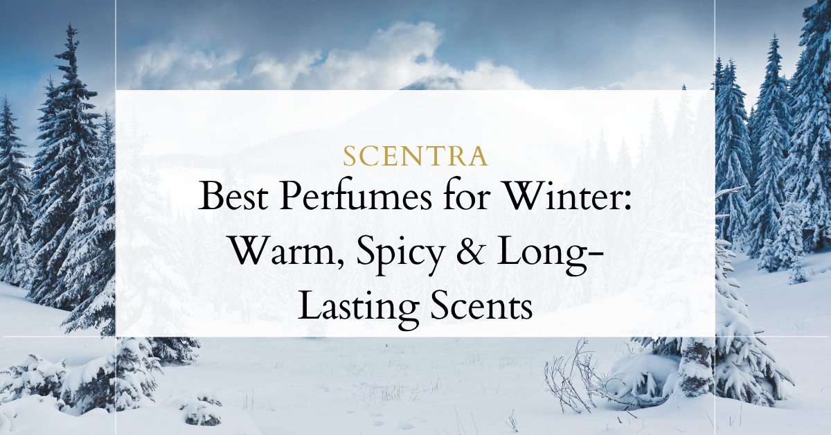 Best Perfumes for Winter: Warm, Spicy & Long-Lasting Scents