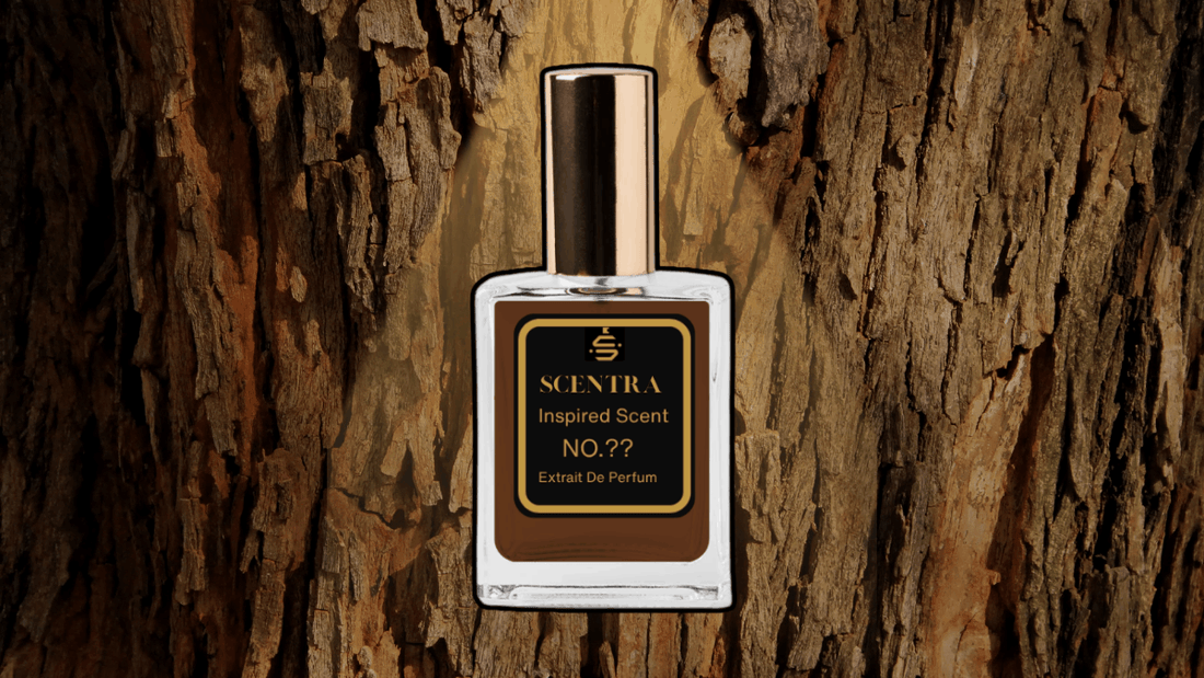 Scentra Extrait de Parfum oud fragrance bottle set against a natural wood bark background