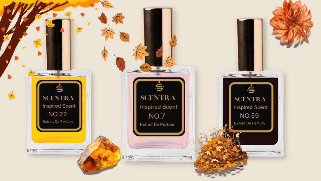 Best Perfumes for Fall: Warm, Earthy & Comforting Scents