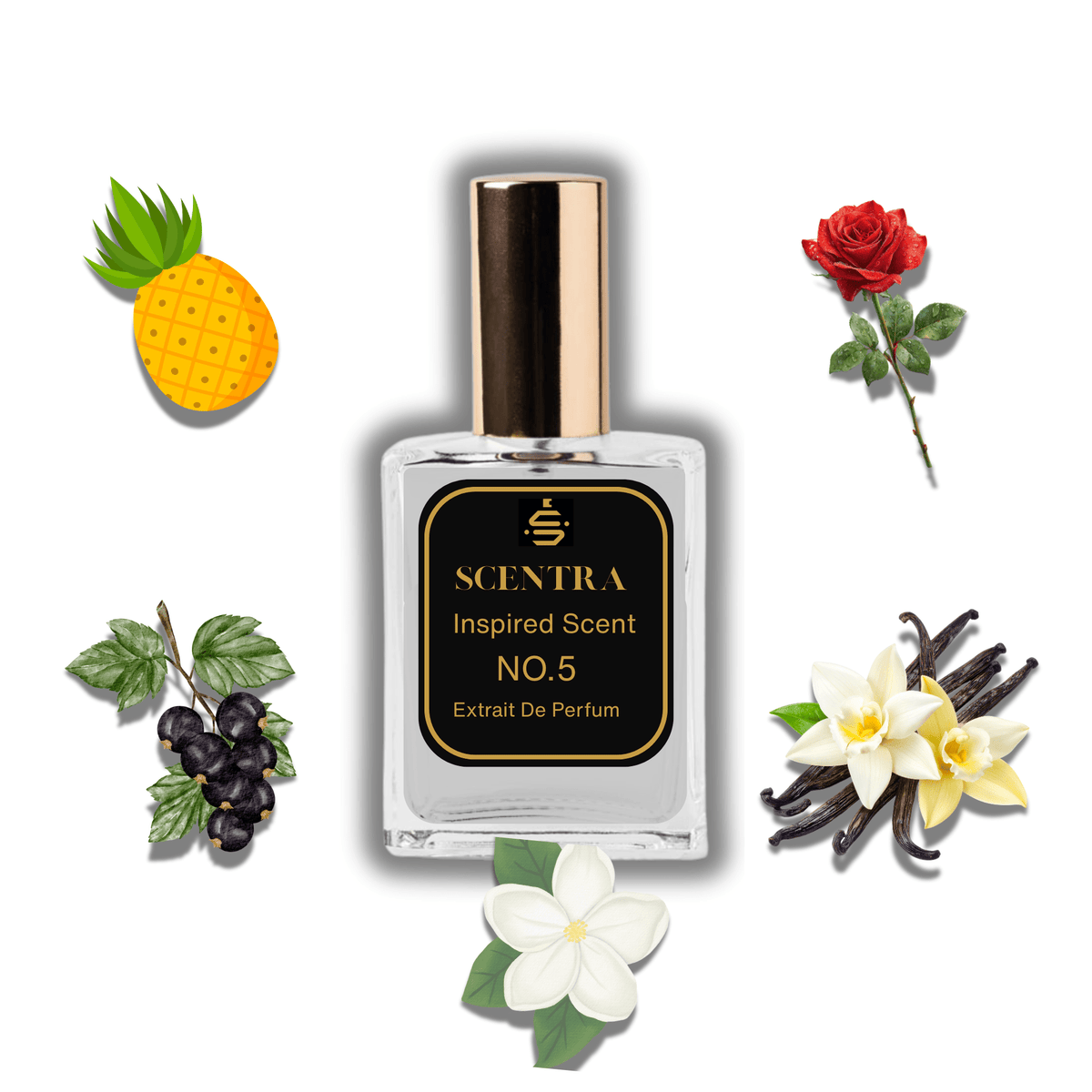 No.5 - Inspired by Creed Aventus