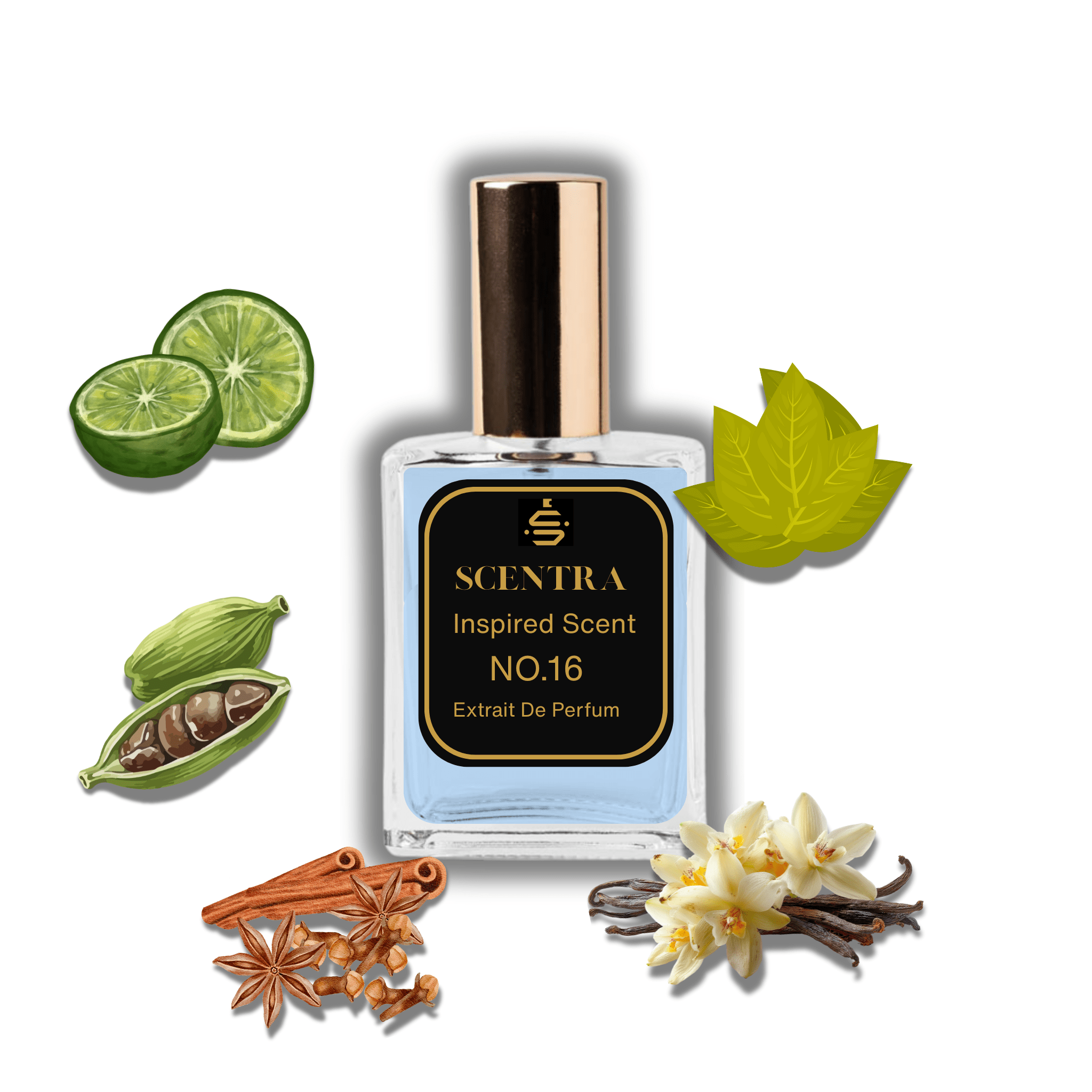 No.16 - Cristiano Ronaldo CR7