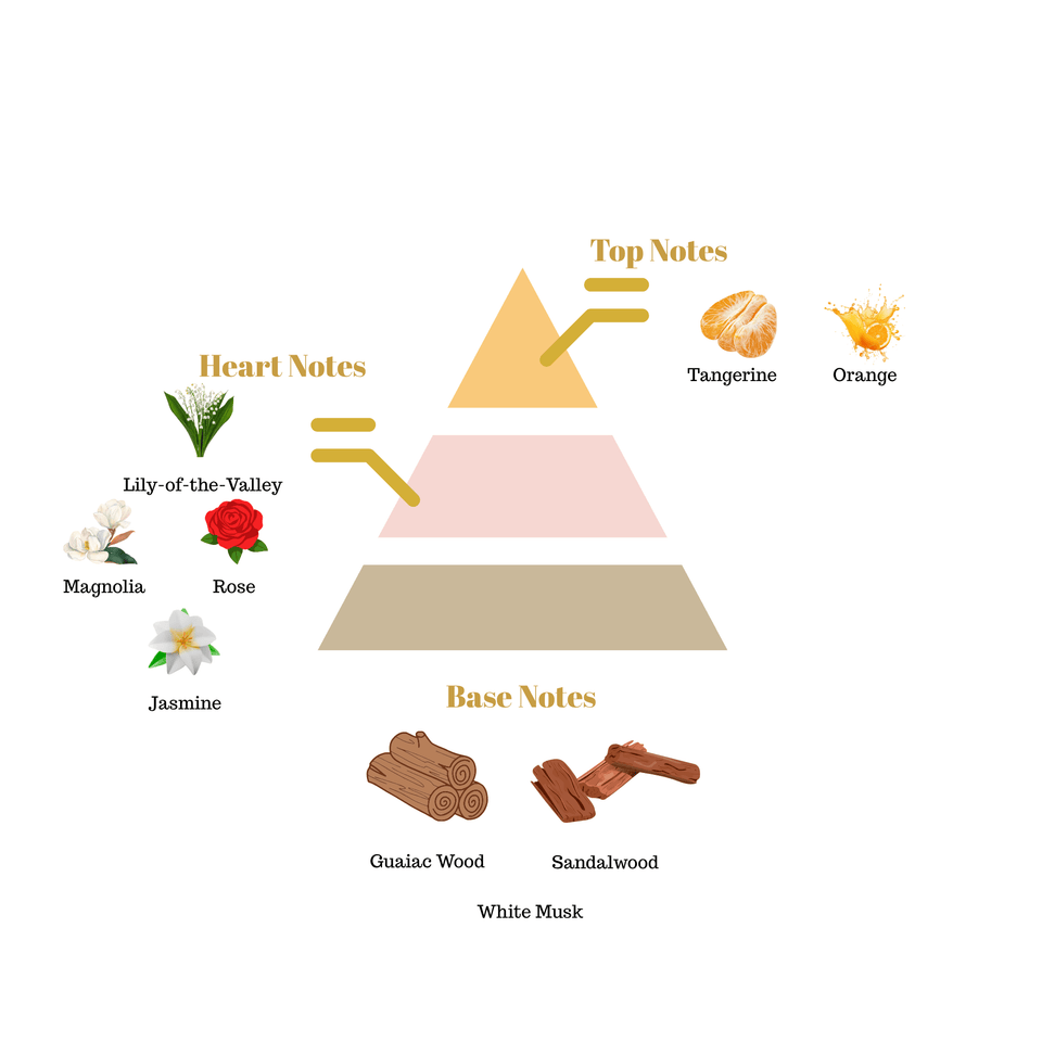 No.i25 fragrance notes pyramid