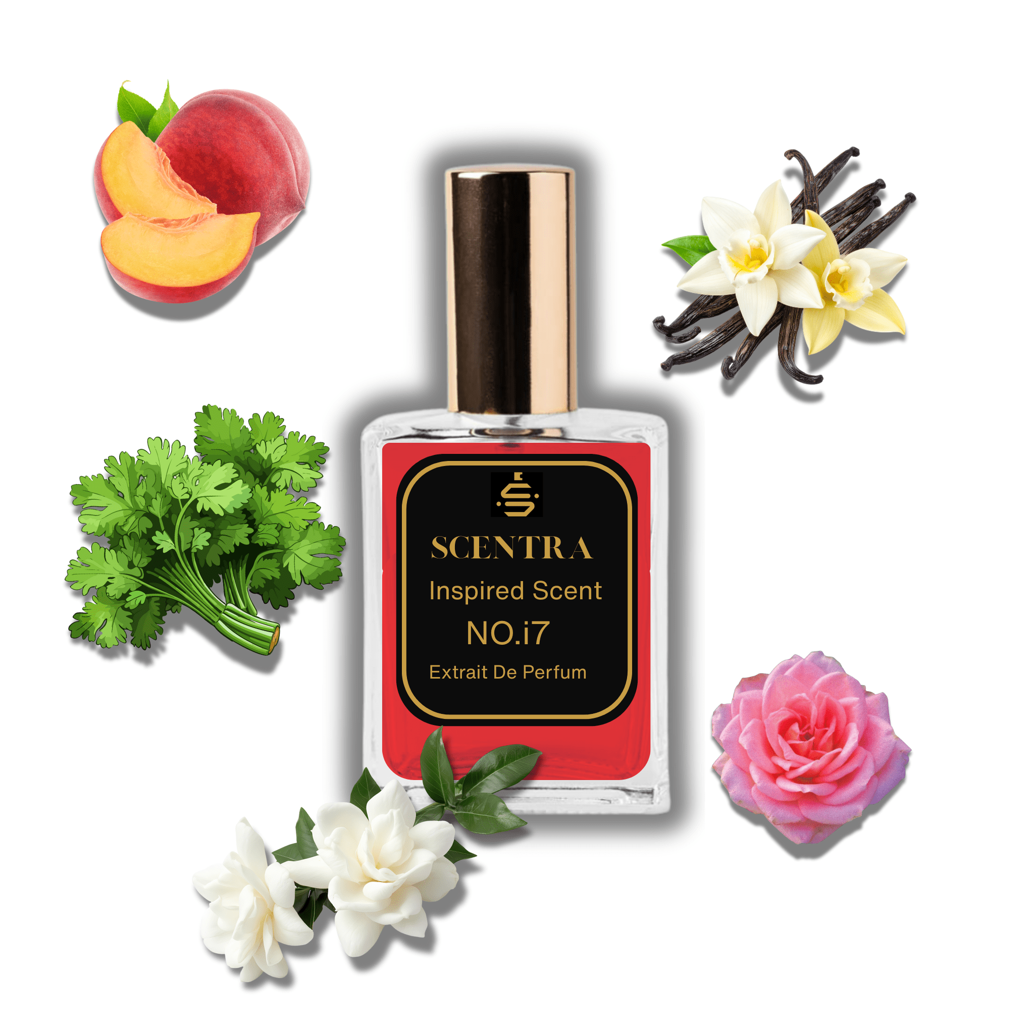 No.i7 - Inspired by Gucci Rush