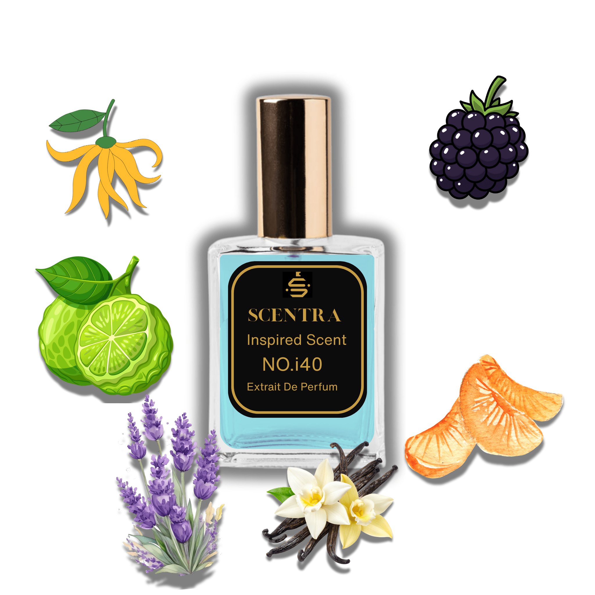 No.i40 - Inspired by Roja Parfums Elysium Pour Femme