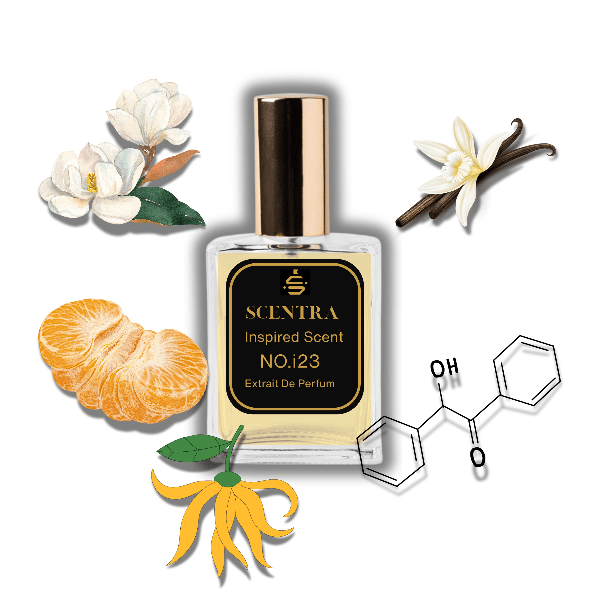 No.i23 - Inspired by Montblanc Signature