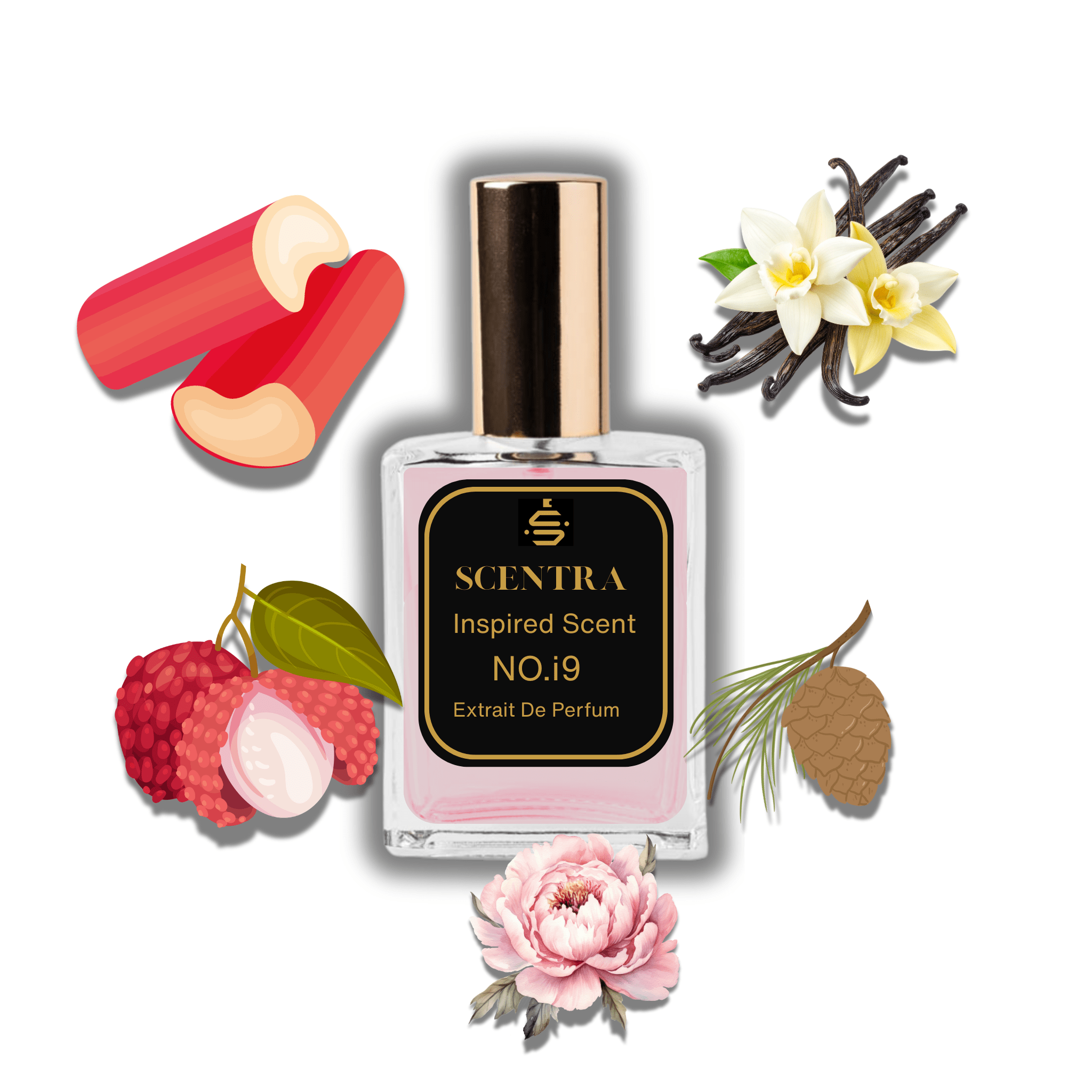 No.i9 - Inspired by Parfums de Marly Delina
