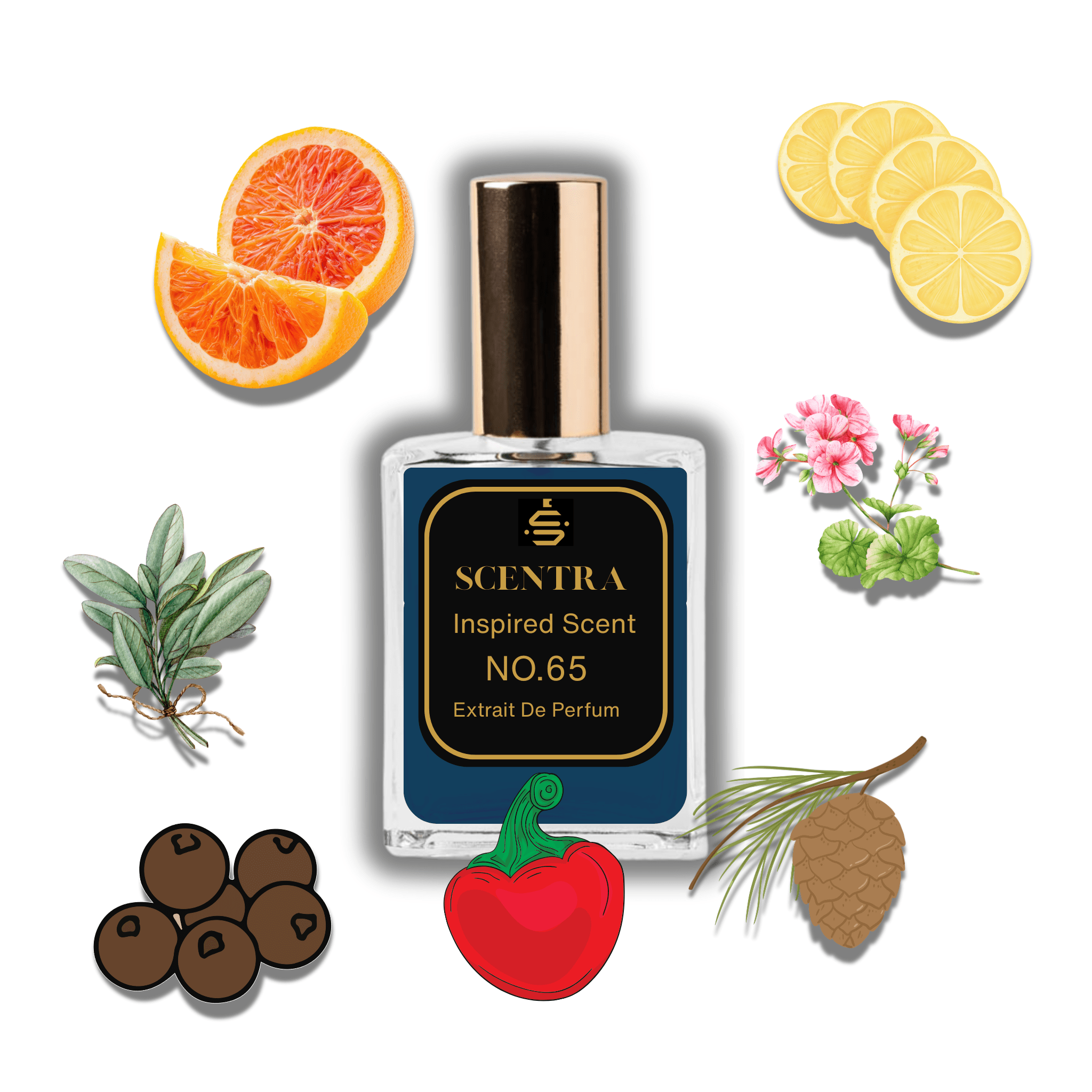 No.65 - Inspired by Dolce & Gabbana K