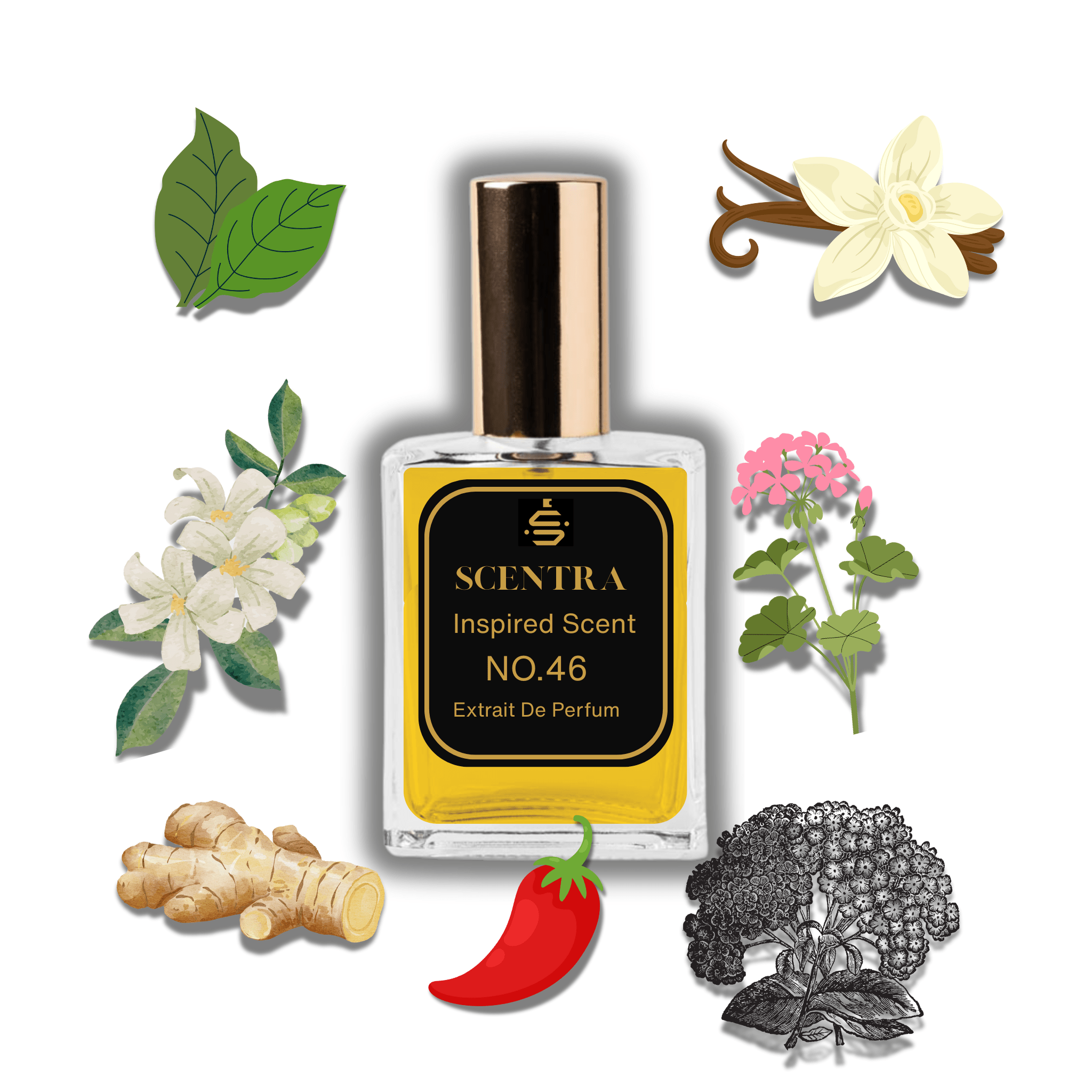 No.46 - Inspired by Roja Parfums Enigma Pour Homme