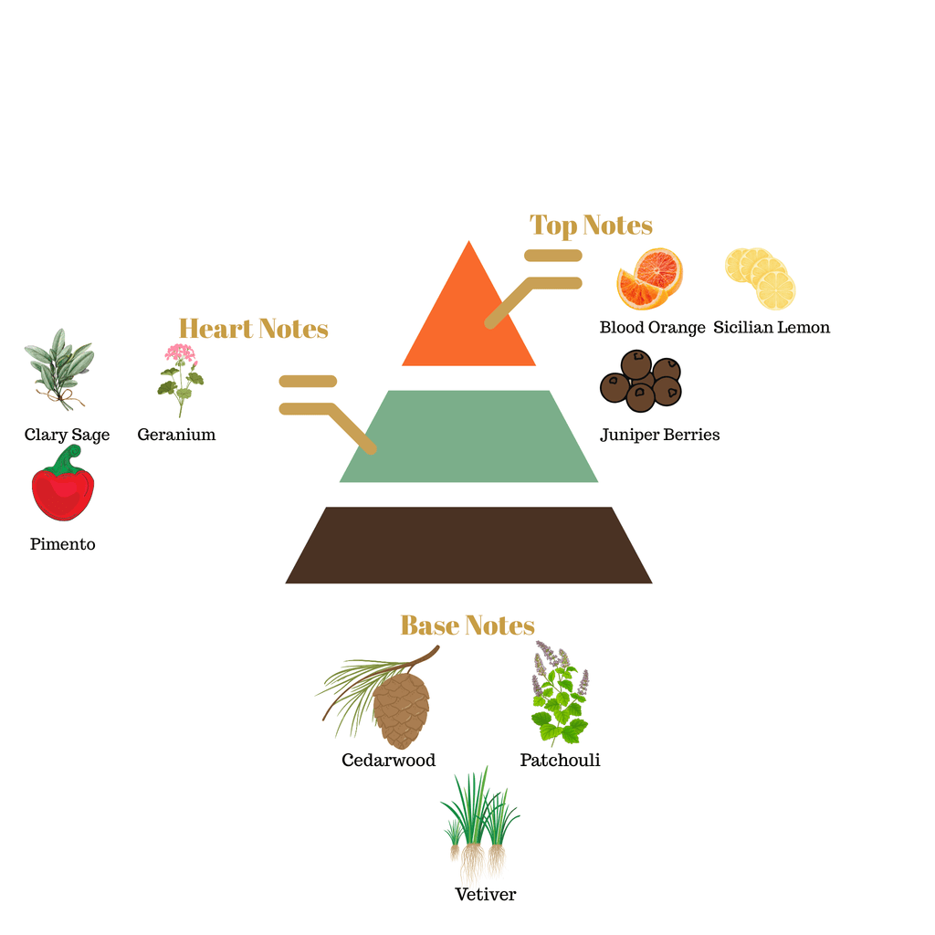 No.65 - Inspired by Dolce & Gabbana K