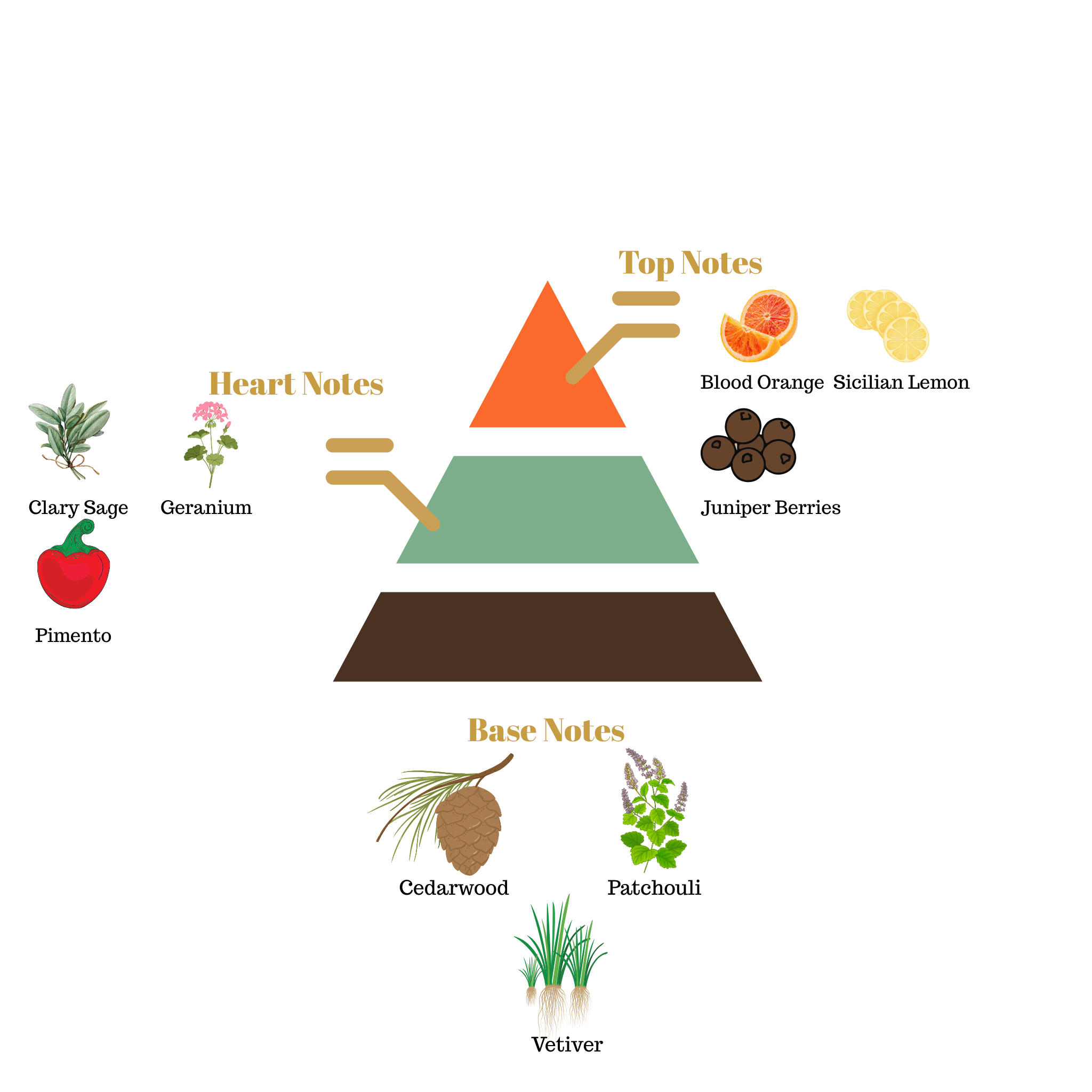 No.65 - Inspired by Dolce & Gabbana K