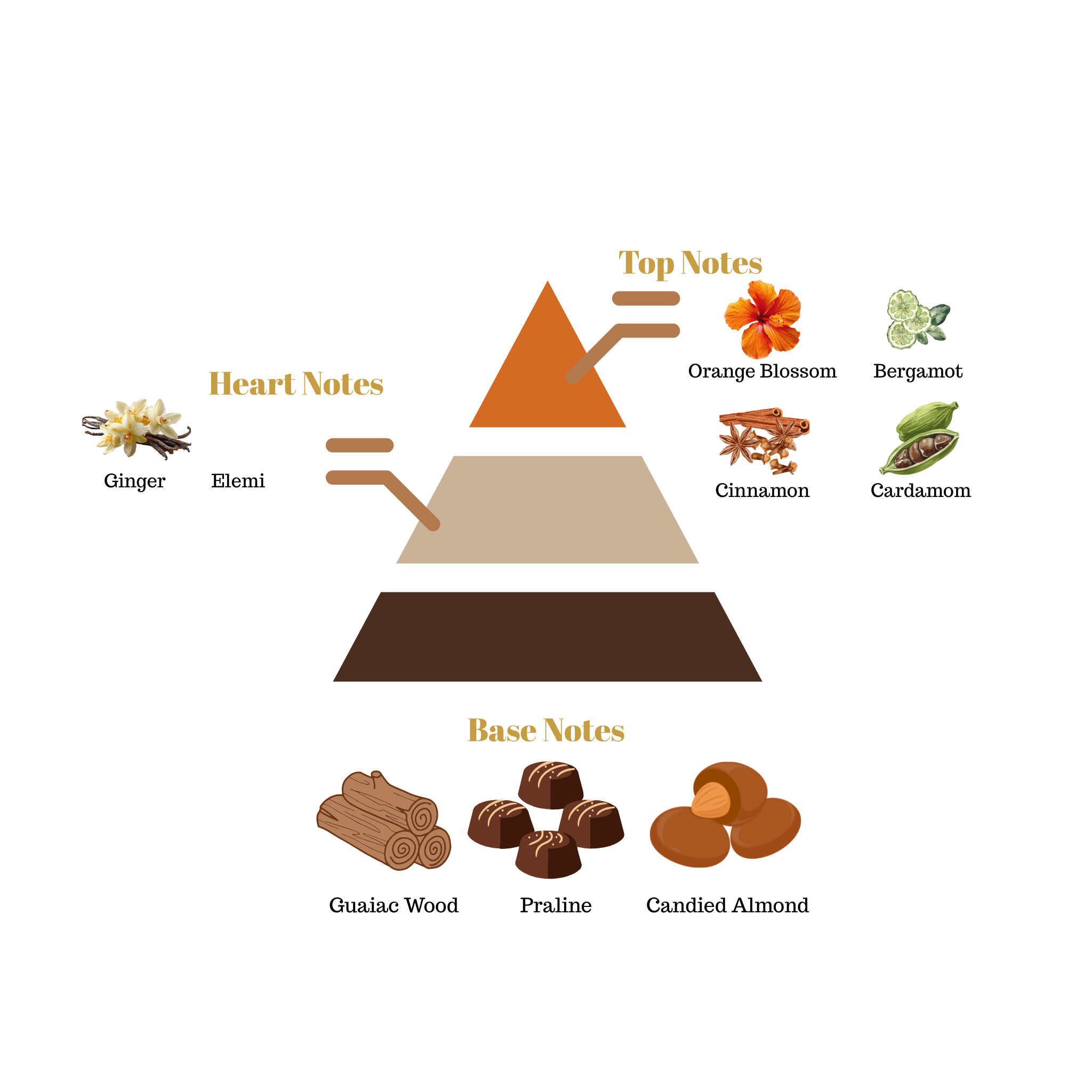 No.31 - Inspired by Parfums de Marly Althaïr