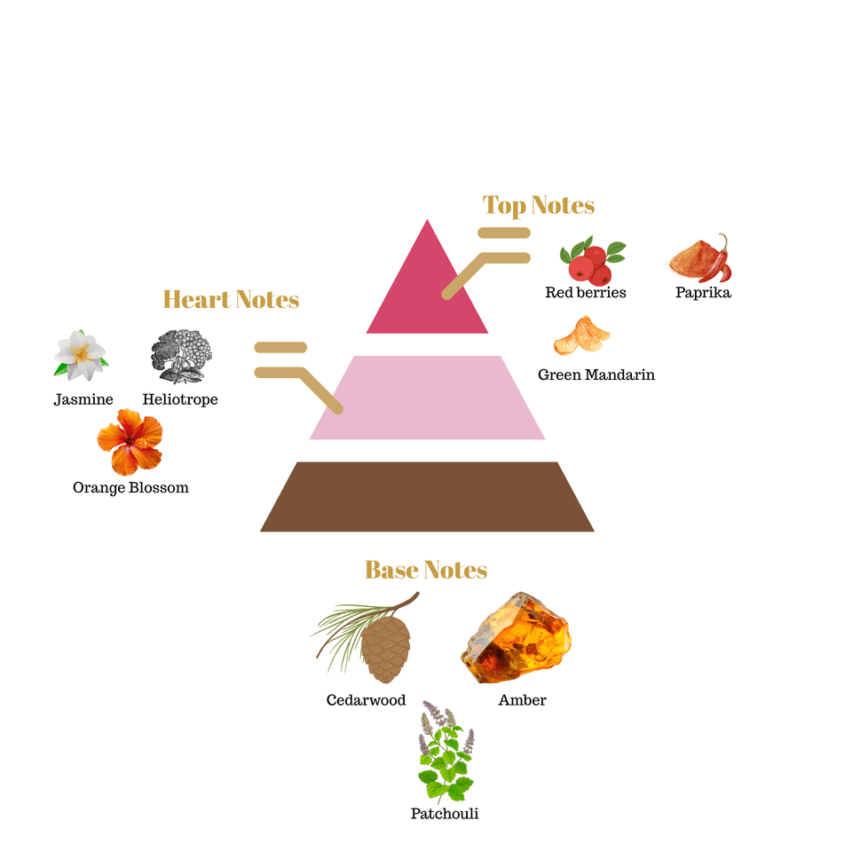 No.i42 fragrance notes pyramid