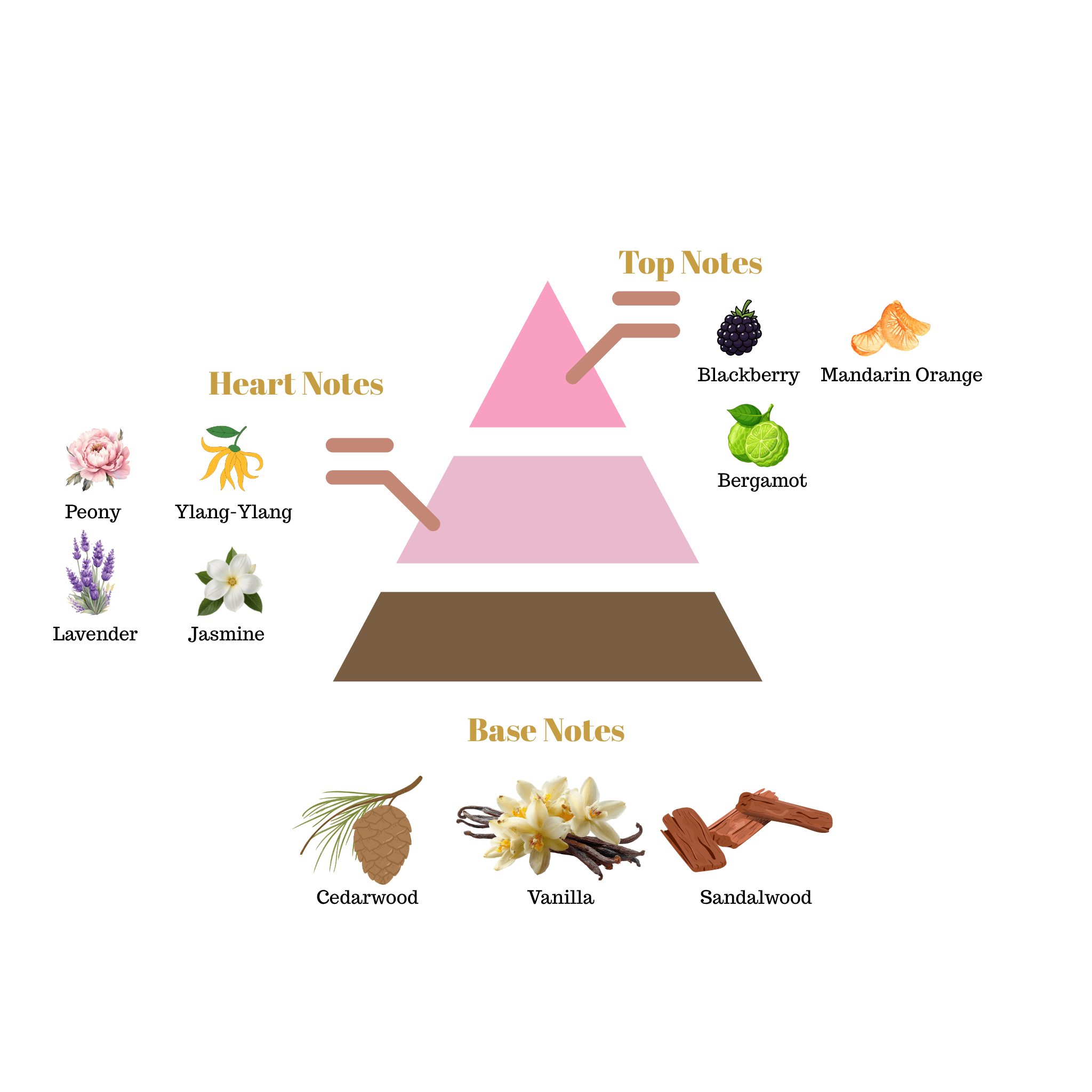 No.i40 - Inspired by Roja Parfums Elysium Pour Femme