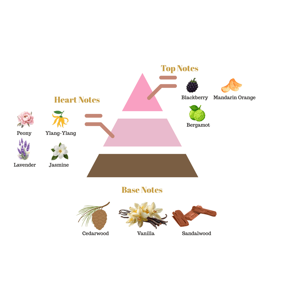 No.i40 fragrance notes pyramid