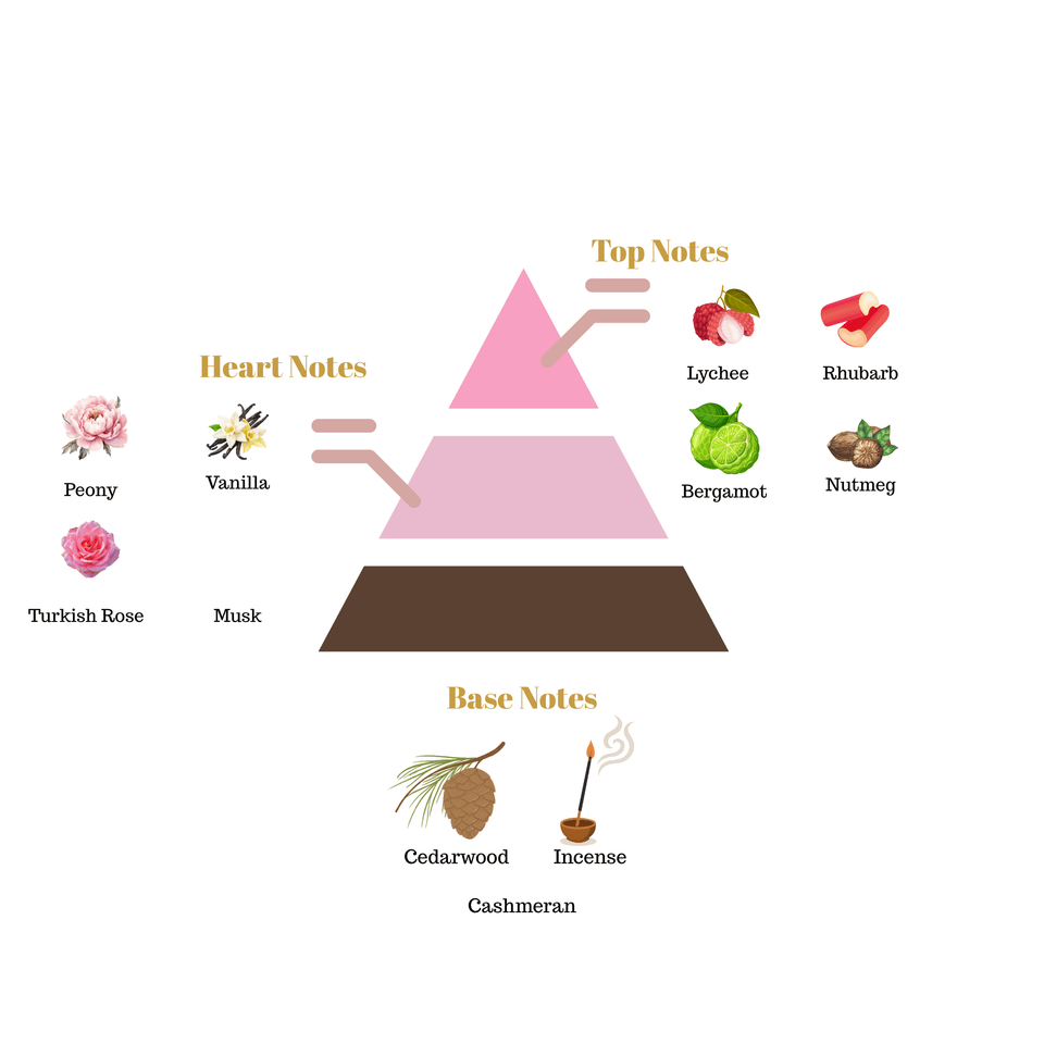 No.i9 fragrance notes pyramid
