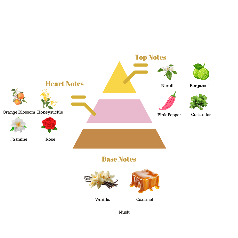 No.i32 fragrance notes pyramid