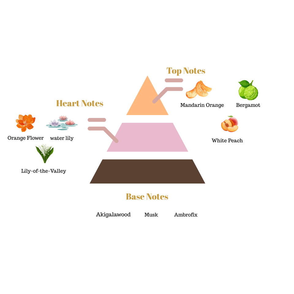 No.i11 fragrance notes pyramid