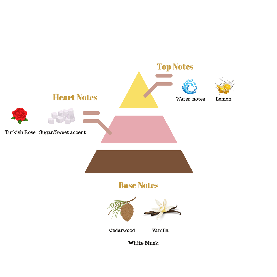 No.i18 fragrance notes pyramid
