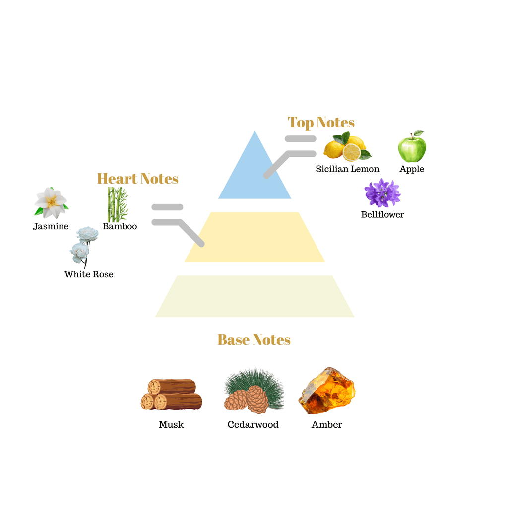 No.20 - Inspired by Dolce & Gabbana Light Blue