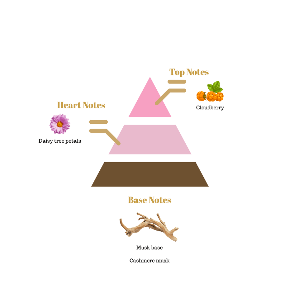 No.i28 fragrance notes pyramid