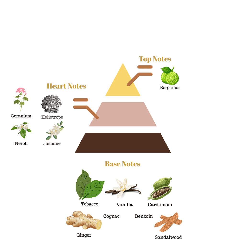 No.46 - Inspired by Roja Parfums Enigma Pour Homme