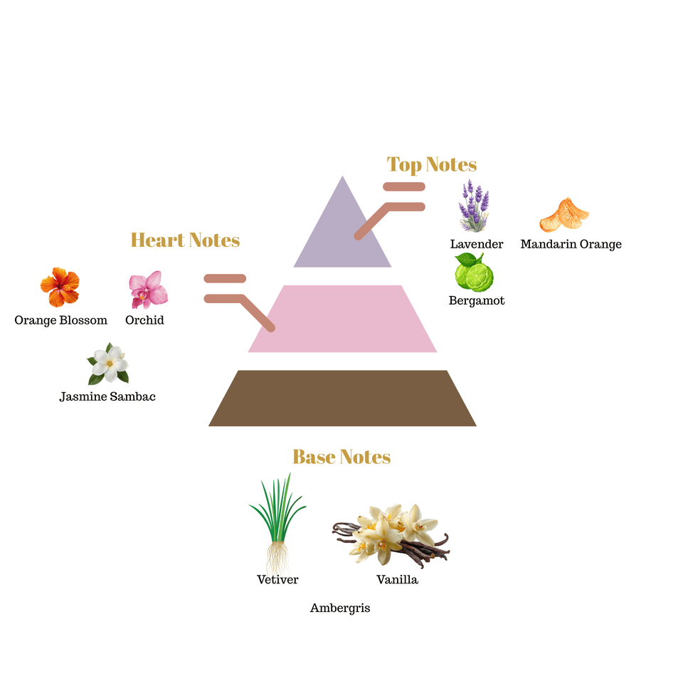 No.i39 fragrance notes pyramid
