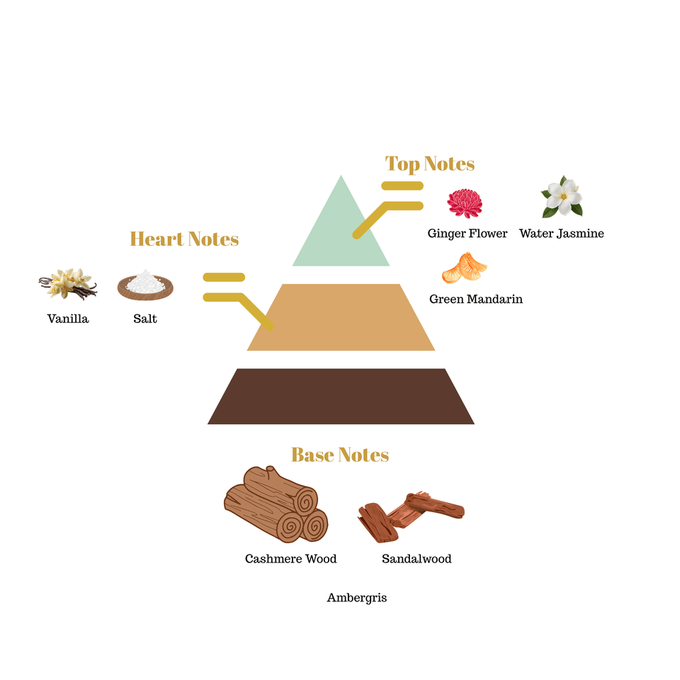 No.i41 fragrance notes pyramid