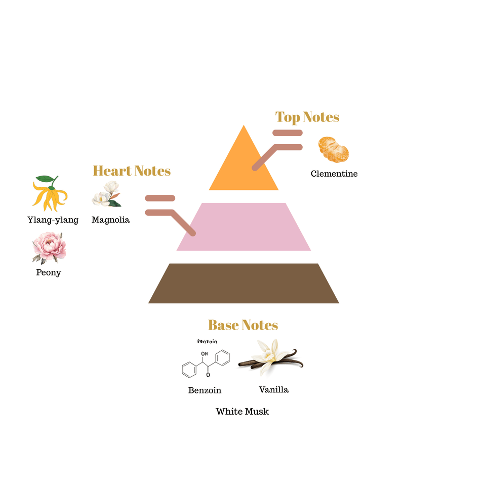 No.i23 fragrance notes pyramid