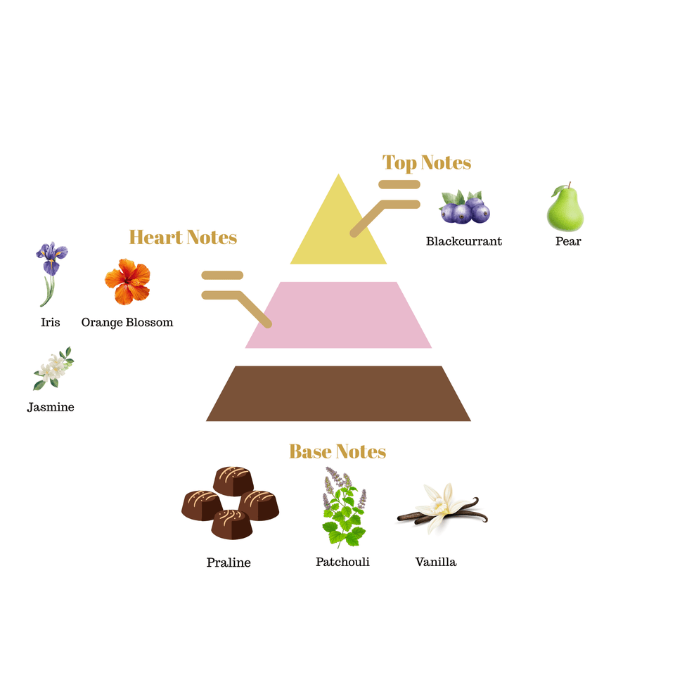No.i15 fragrance notes pyramid