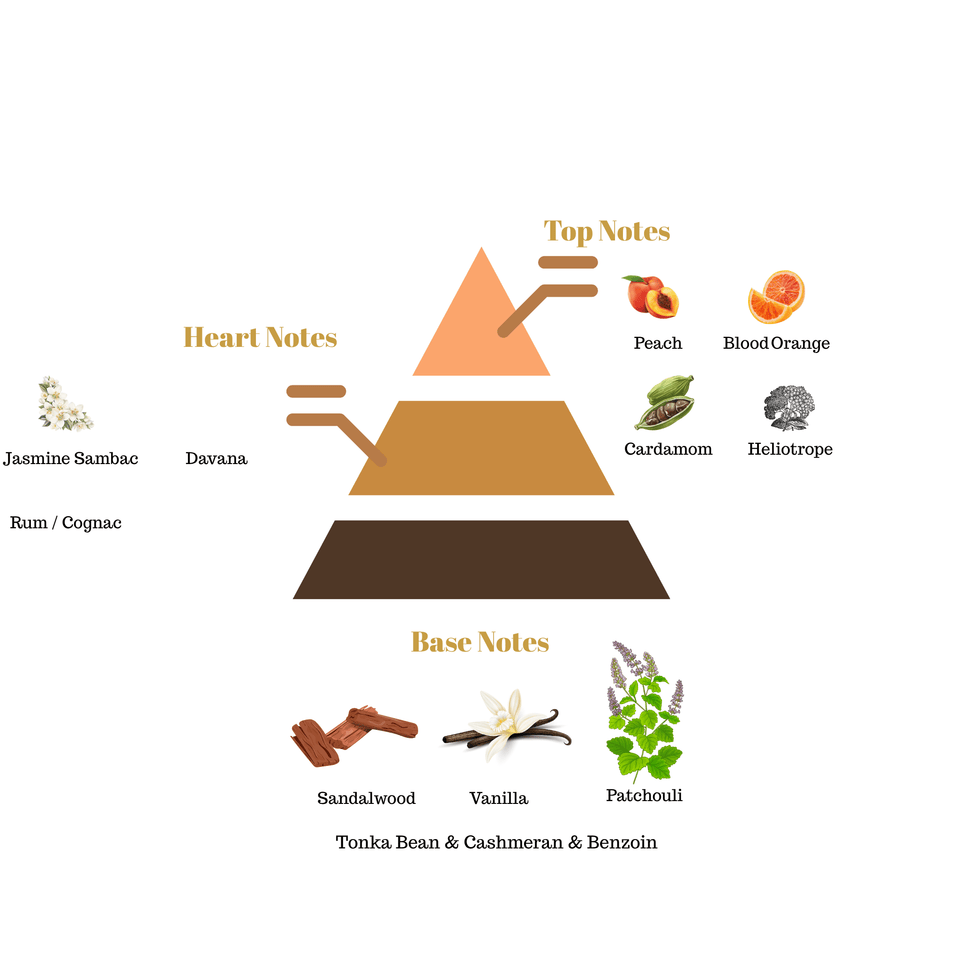 No.i19 fragrance notes pyramid