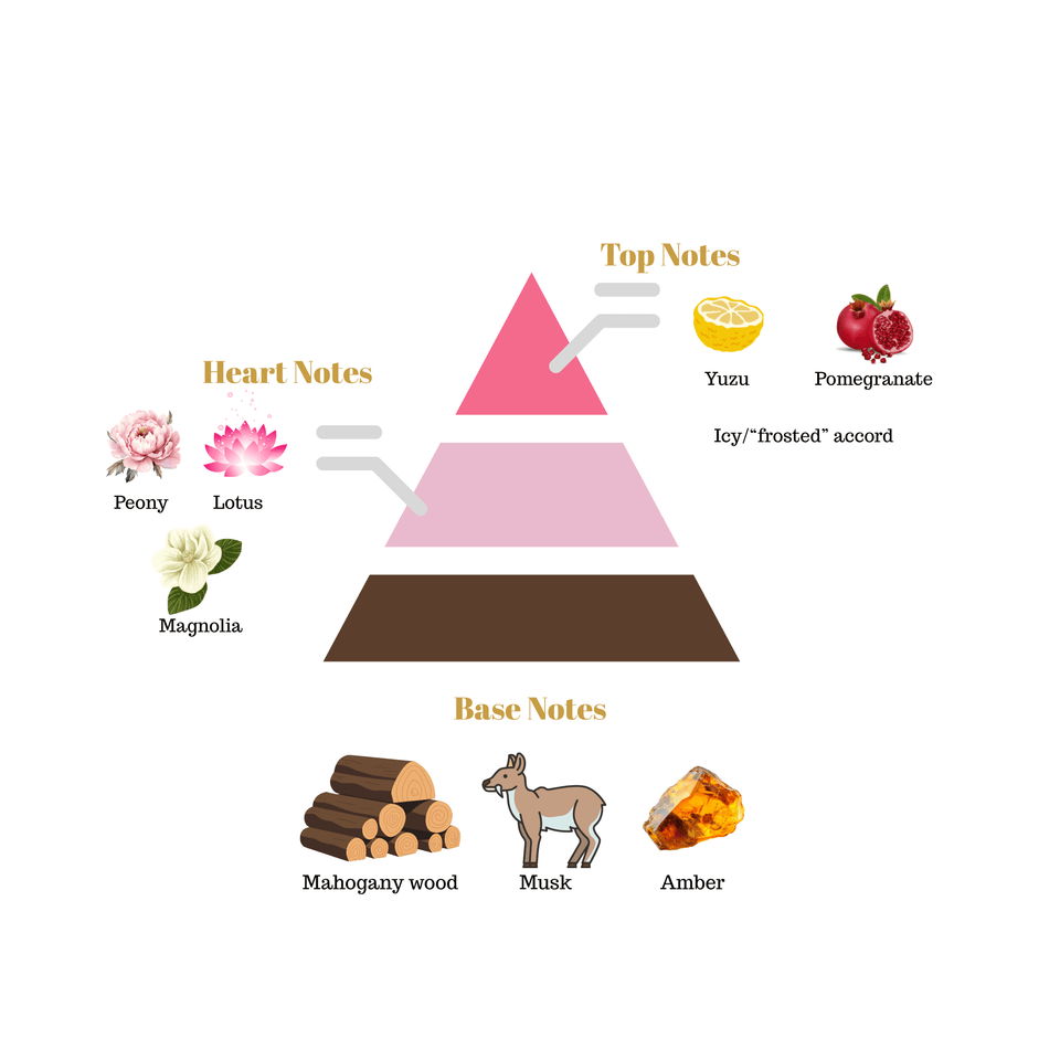No.I4 fragrance notes pyramid