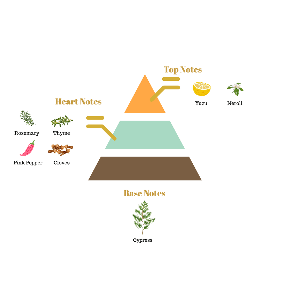 No.i36 fragrance notes pyramid