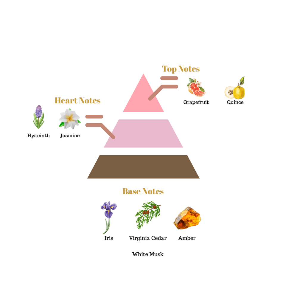 No.i5 fragrance notes pyramid