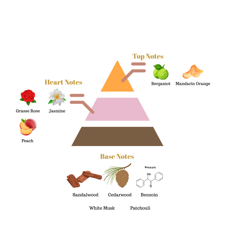 No.i6 fragrance notes pyramid
