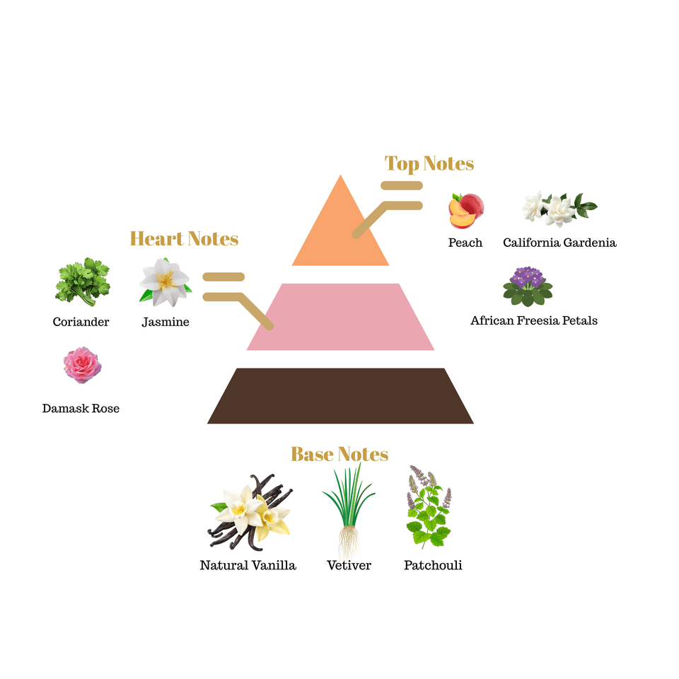 No.i7 fragrance notes pyramid