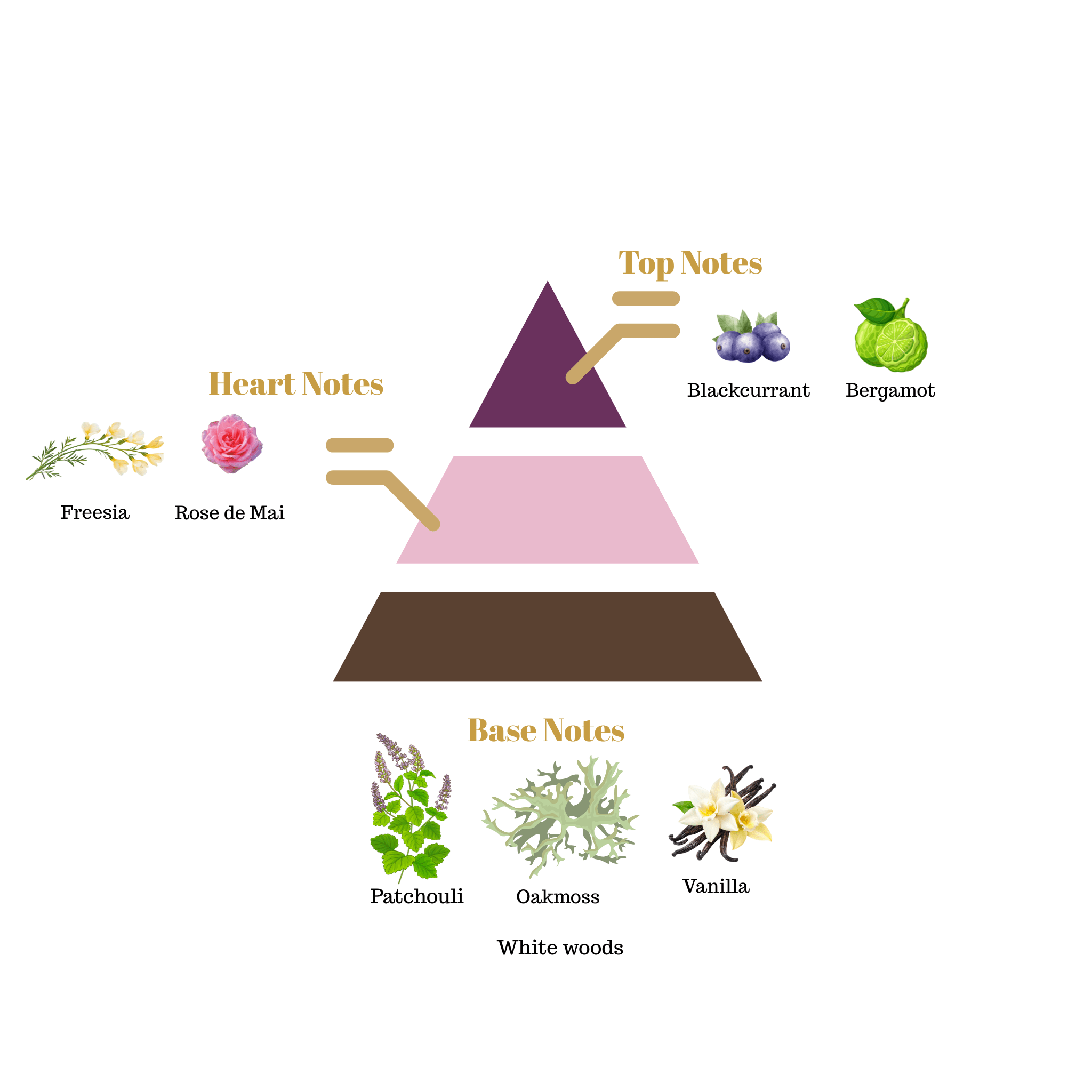 No.i10 - Inspired by Armani Si