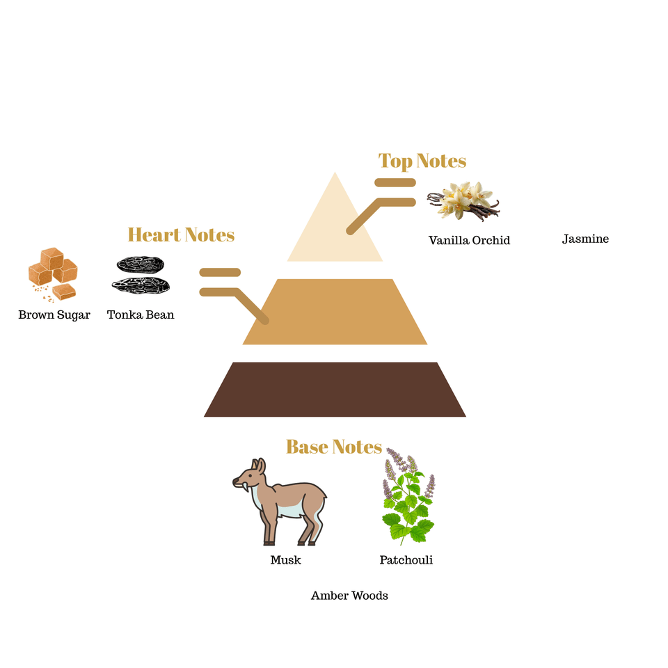 No.i31 fragrance notes pyramid