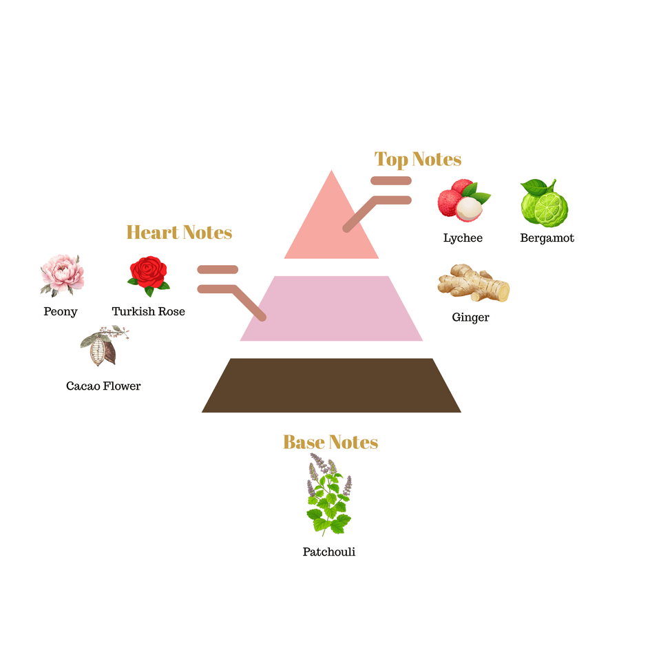 No.i26 fragrance notes pyramid