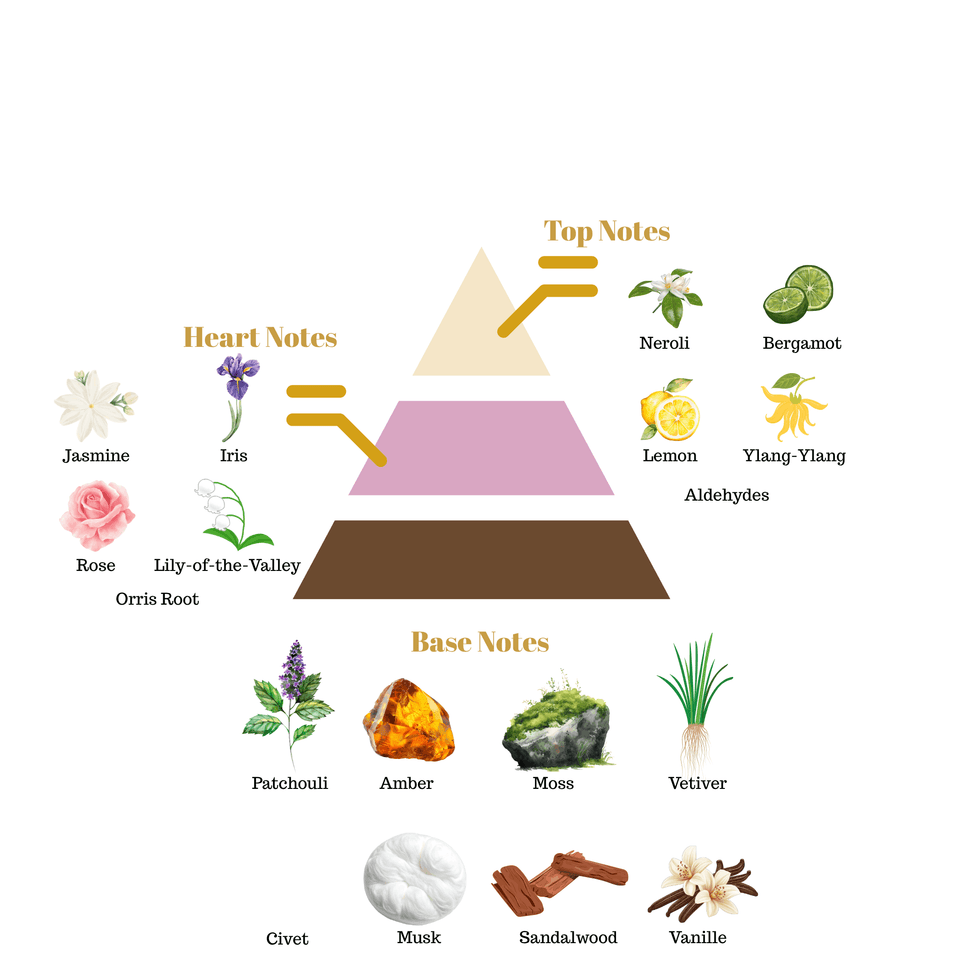 No.i49 fragrance notes pyramid