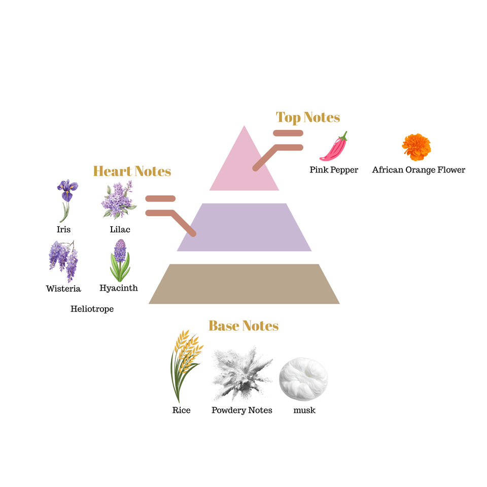 No.i30 fragrance notes pyramid