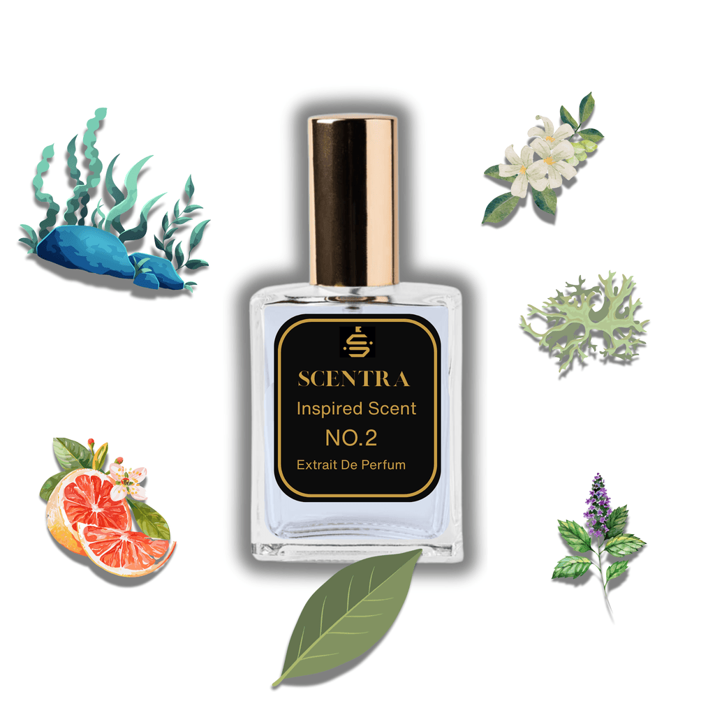 Scentra No.2 perfume inspired by Paco Rabanne Invictus surrounded by illustrated scent notes of a sliced grapefruit, underwater marine seaweed, and white jasmine flowers.