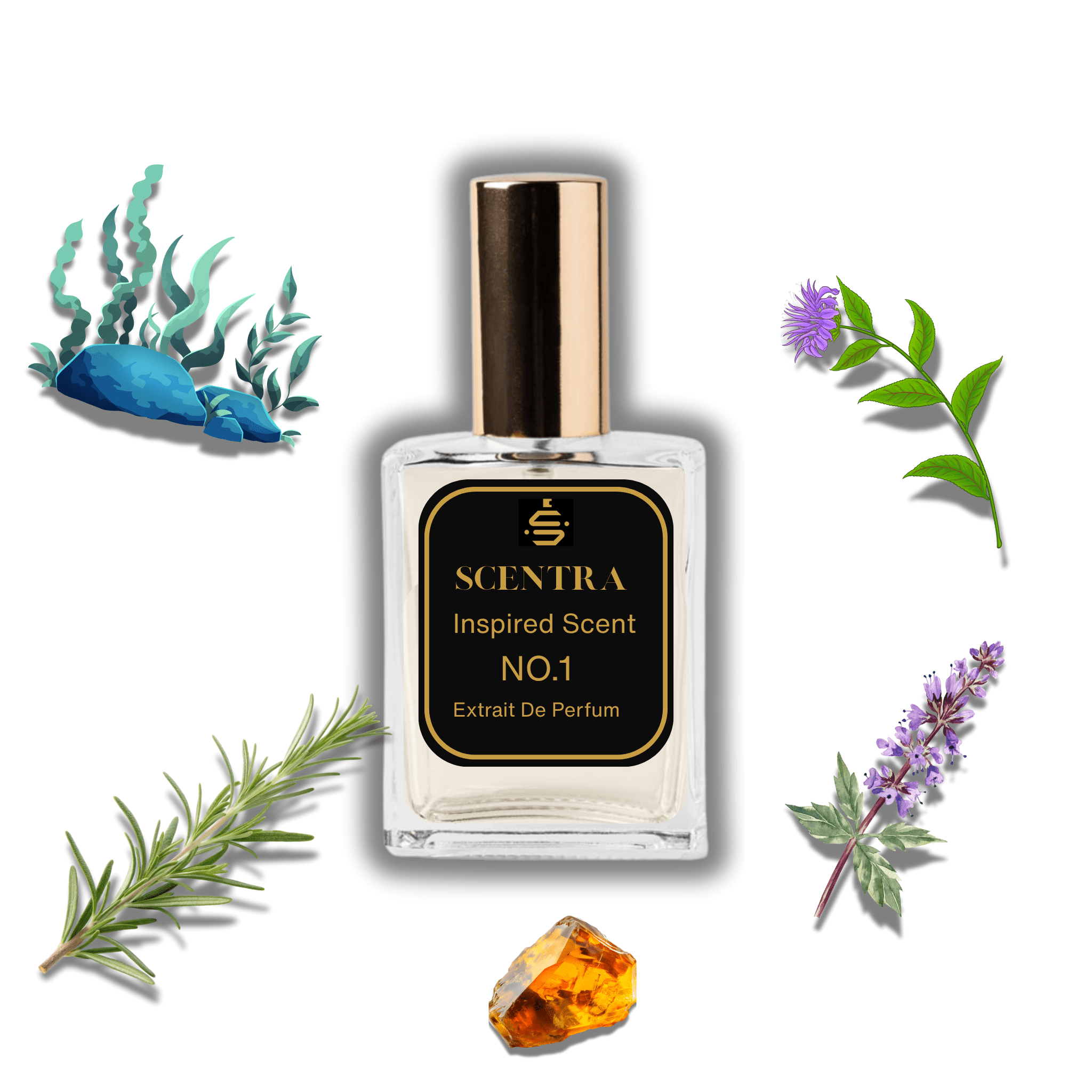 Scentra No.1 perfume inspired by Giorgio Armani Acqua Di Gio surrounded by illustrated scent notes of blue-teal marine seaweed, a fresh rosemary sprig, and a golden amber stone.