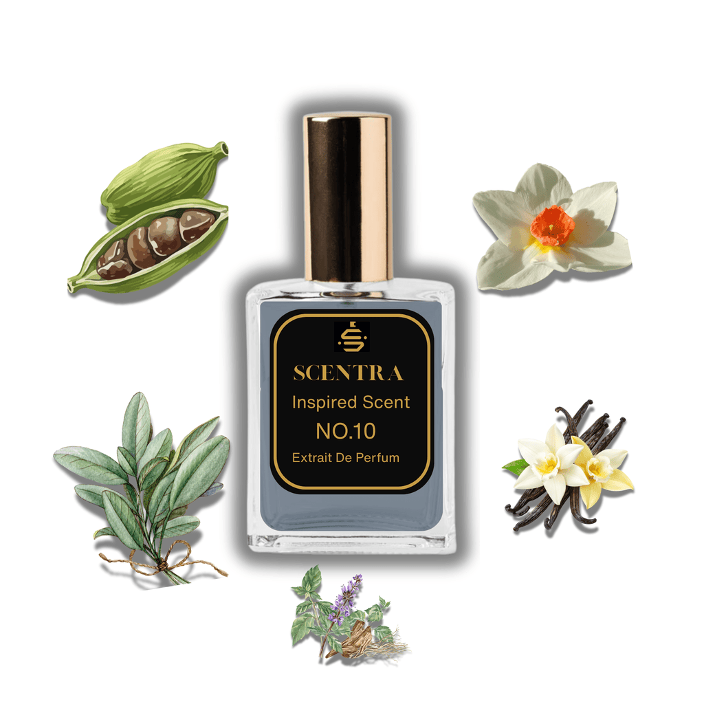 Scentra No.10 perfume inspired by Givenchy Gentleman Society surrounded by illustrated scent notes of green cardamom, sage sprigs, and vanilla orchids.