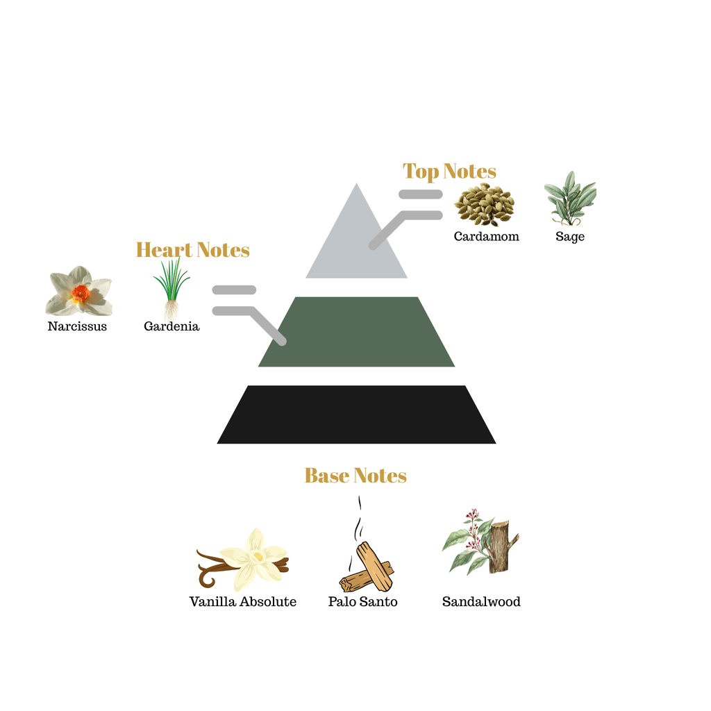 Fragrance pyramid chart for Scentra No.10 detailing a cardamom sage top, narcissus gardenia heart, and a Palo Santo vanilla base.