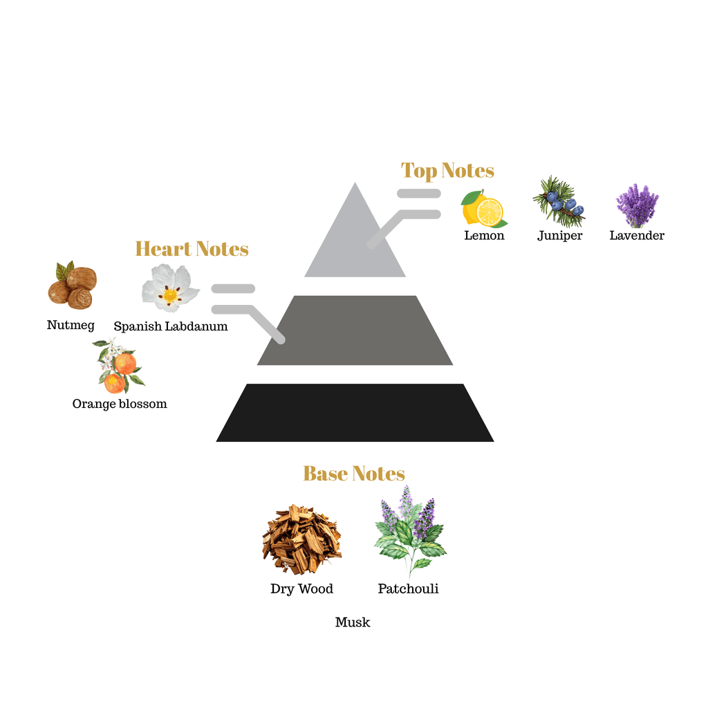 Fragrance pyramid chart for Scentra No.12 showcasing a lemon lavender top, a nutmeg orange blossom heart, and a dry wood patchouli base.