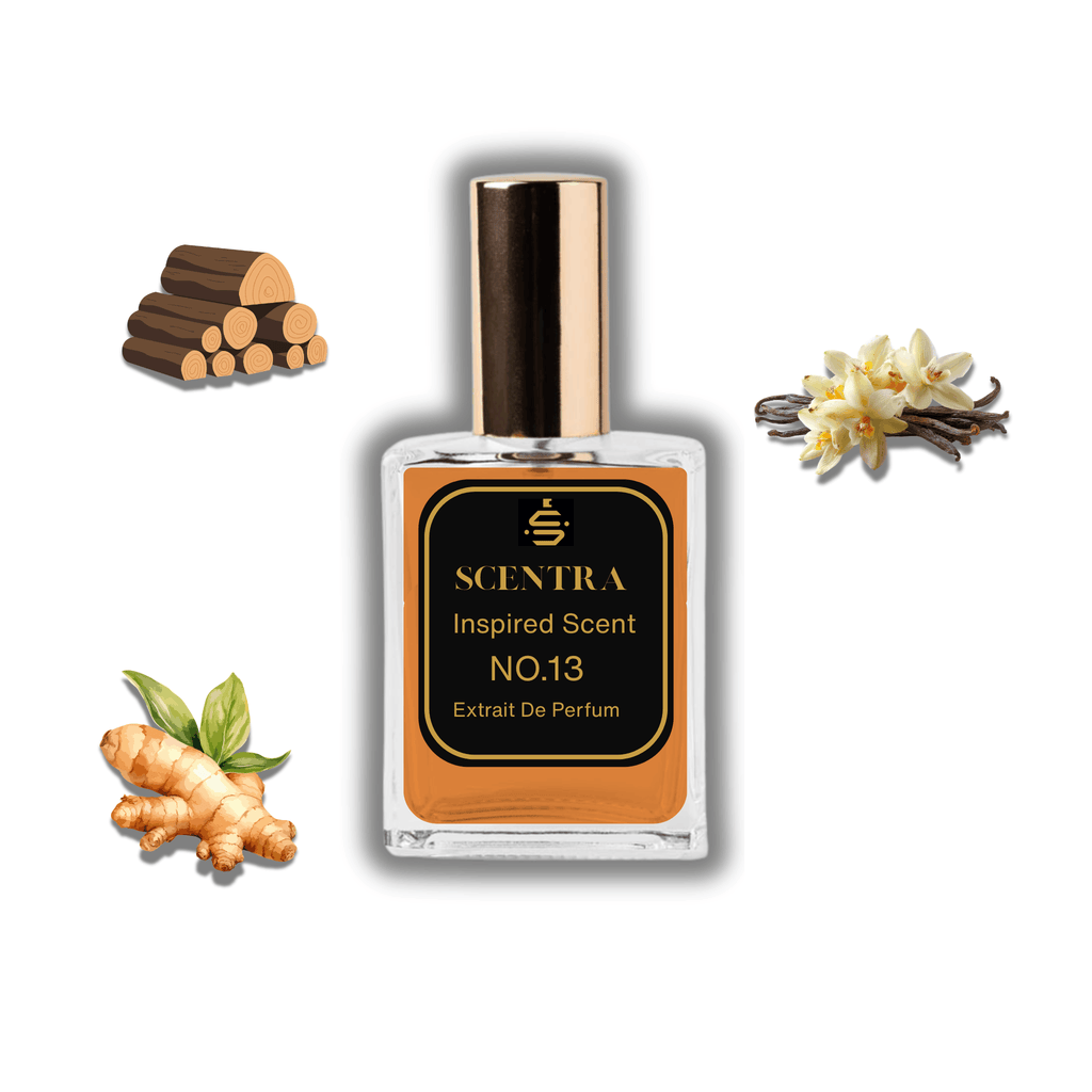 Scentra No.13 perfume inspired by Azzaro The Most Wanted Parfum surrounded by illustrated scent notes of ginger root and bourbon vanilla orchids.