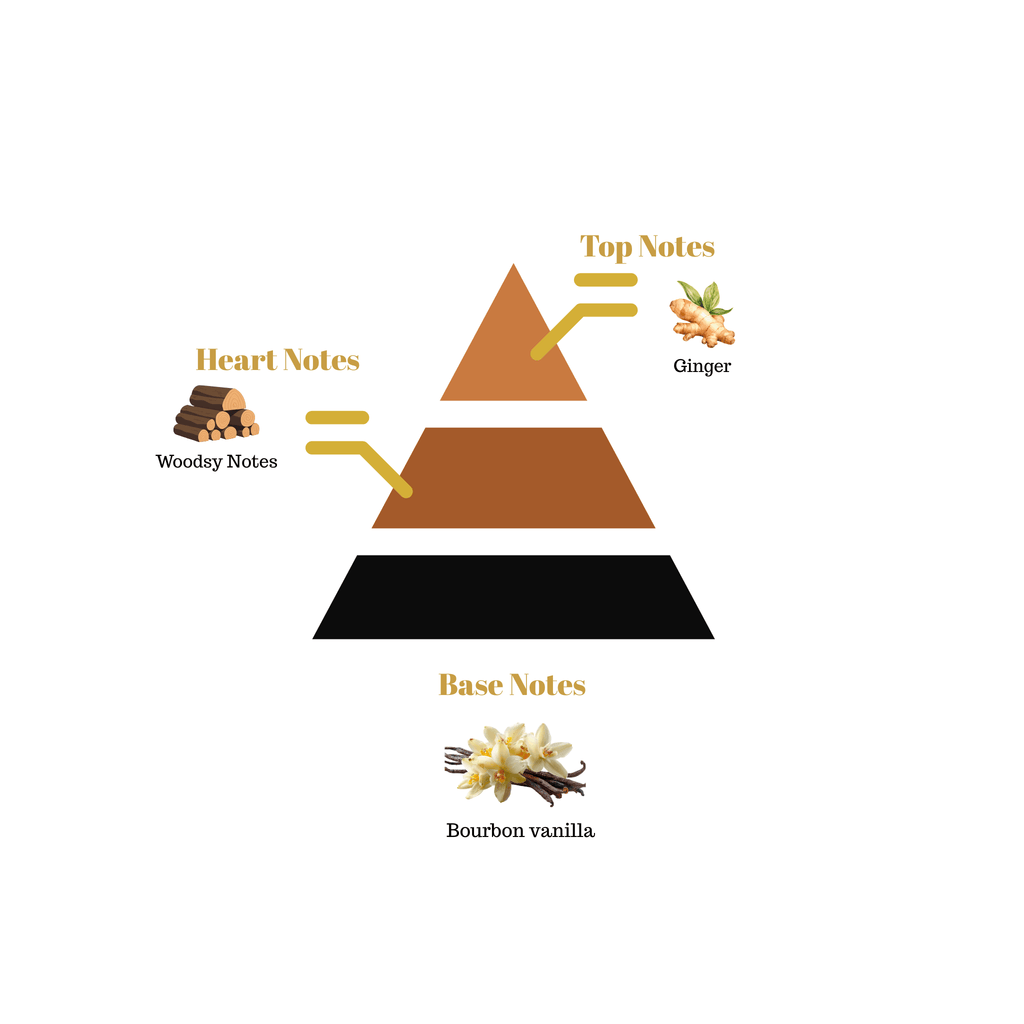 Fragrance pyramid chart for Scentra No.13 showcasing a ginger top note, a rich woodsy heart, and a bourbon vanilla base.